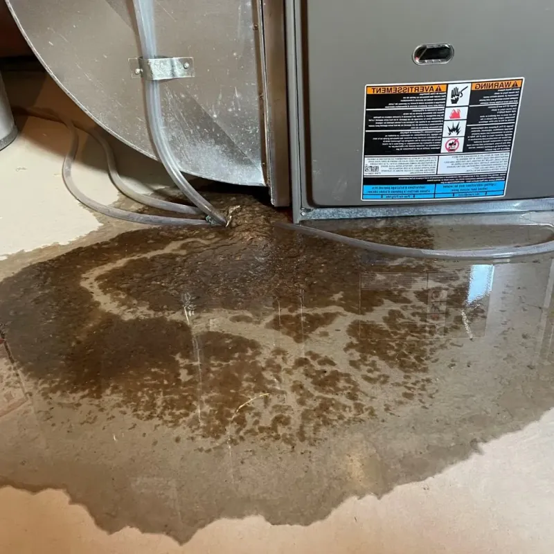 Pipe Burst and Leak Restoration in Oneonta, NY